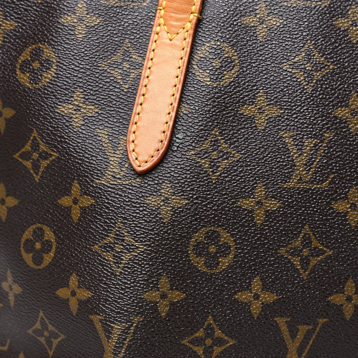 Monogram Raspail PM