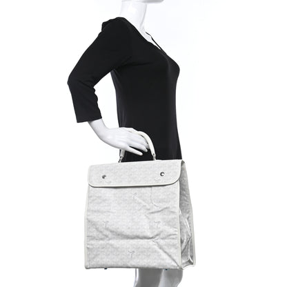 Goyard Goyardine Saint Lucie White 2 of 12