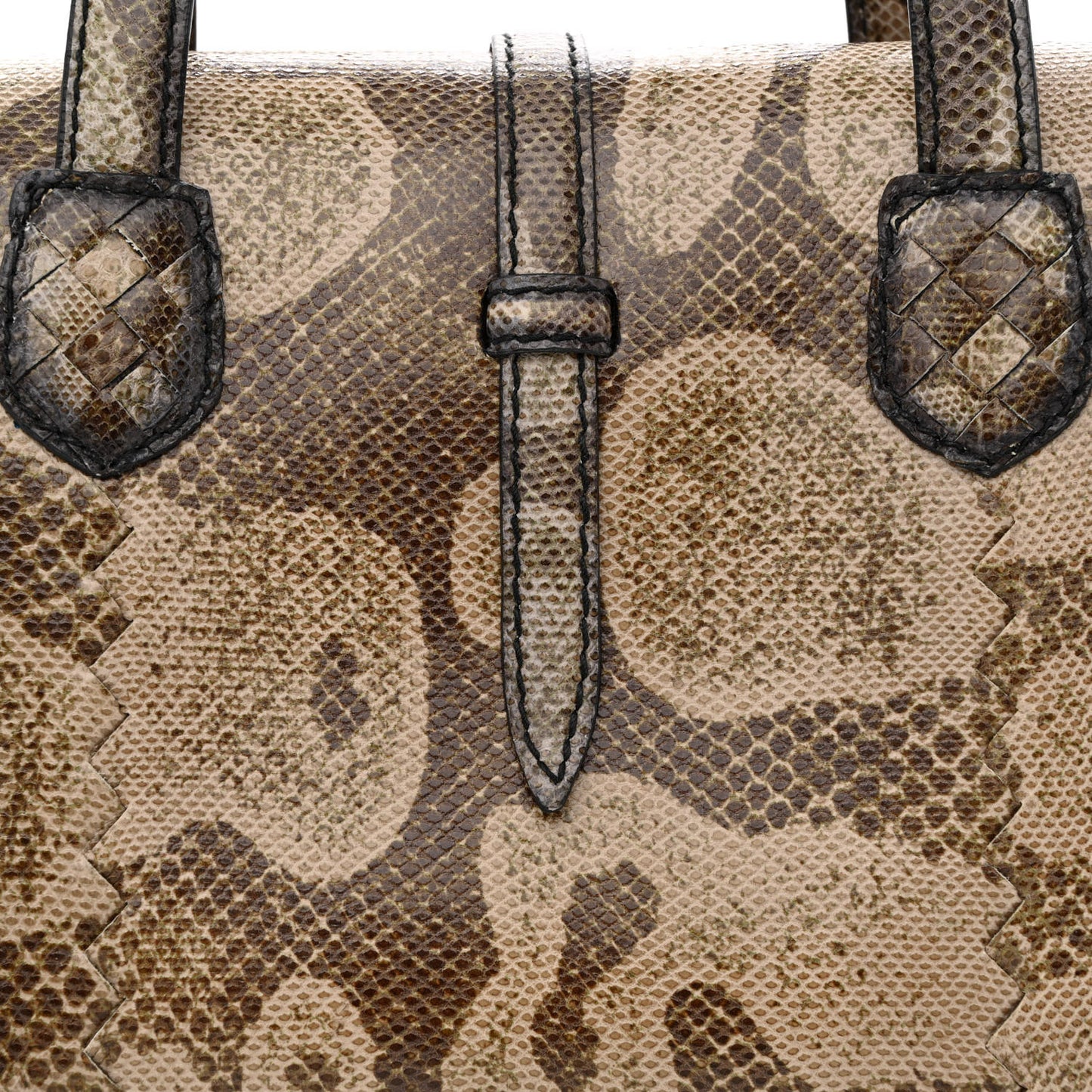 Watersnake Accordion Satchel