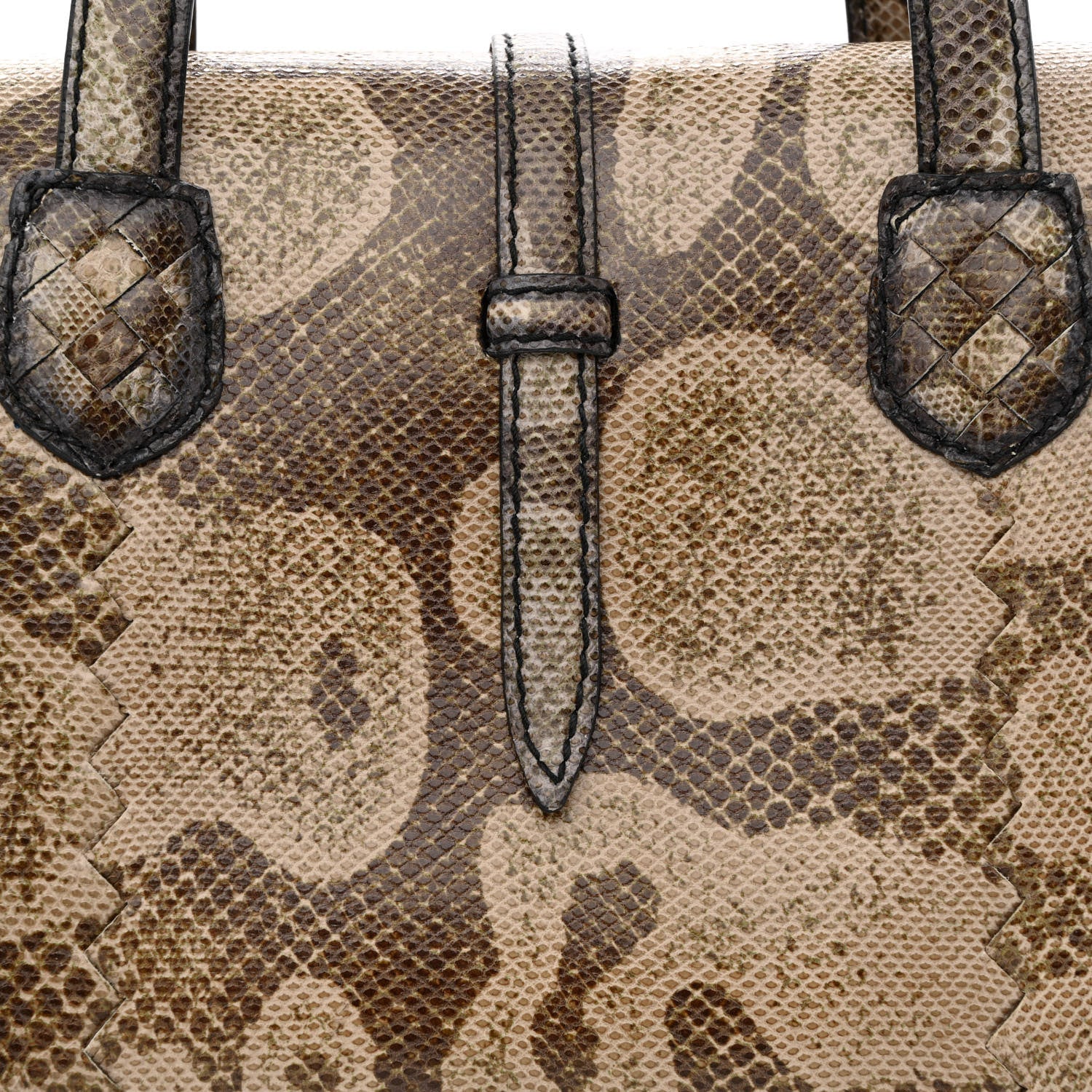 Bottega Veneta Watersnake Accordion Satchel 8 of 12