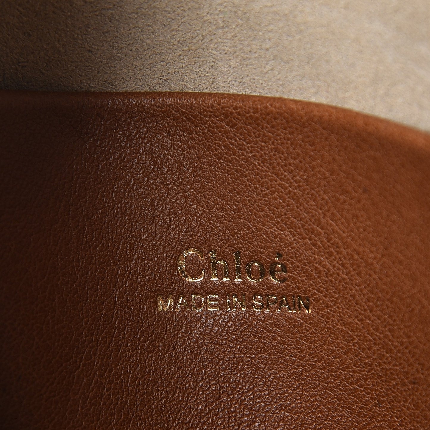 Grained Calfskin Nano Hayley Hobo Tan