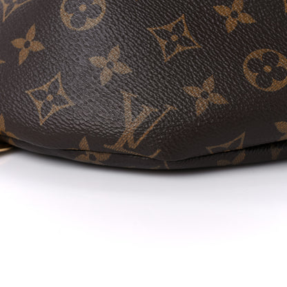 Louis Vuitton Monogram Bumbag 8 of 14