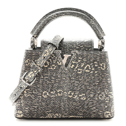 Louis Vuitton Lizard Mini Capucines Argento 1 of 10