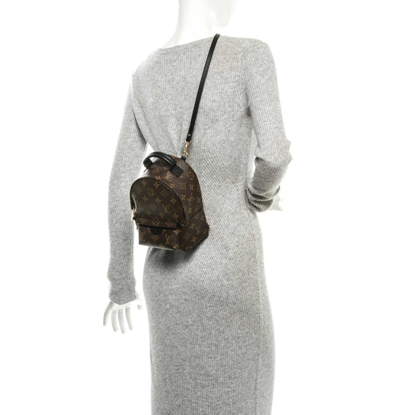 Monogram Palm Springs Backpack Mini