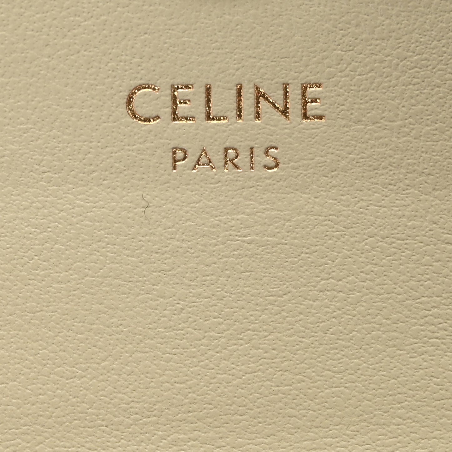 Shiny Calfskin Triomphe Flap Card Holder Almond Green Almond Green