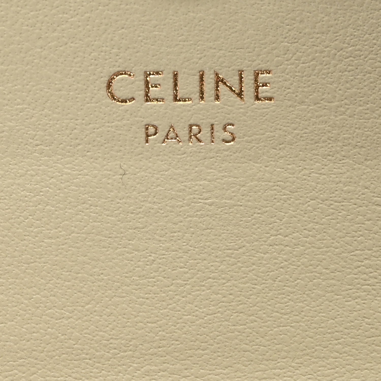 Celine Shiny Calfskin Triomphe Flap Card Holder Almond Green Almond Green 6 of 12