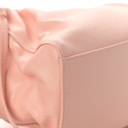 Mansur Gavriel Lambskin Mini Protea Bag Rosa Blush 13 of 14