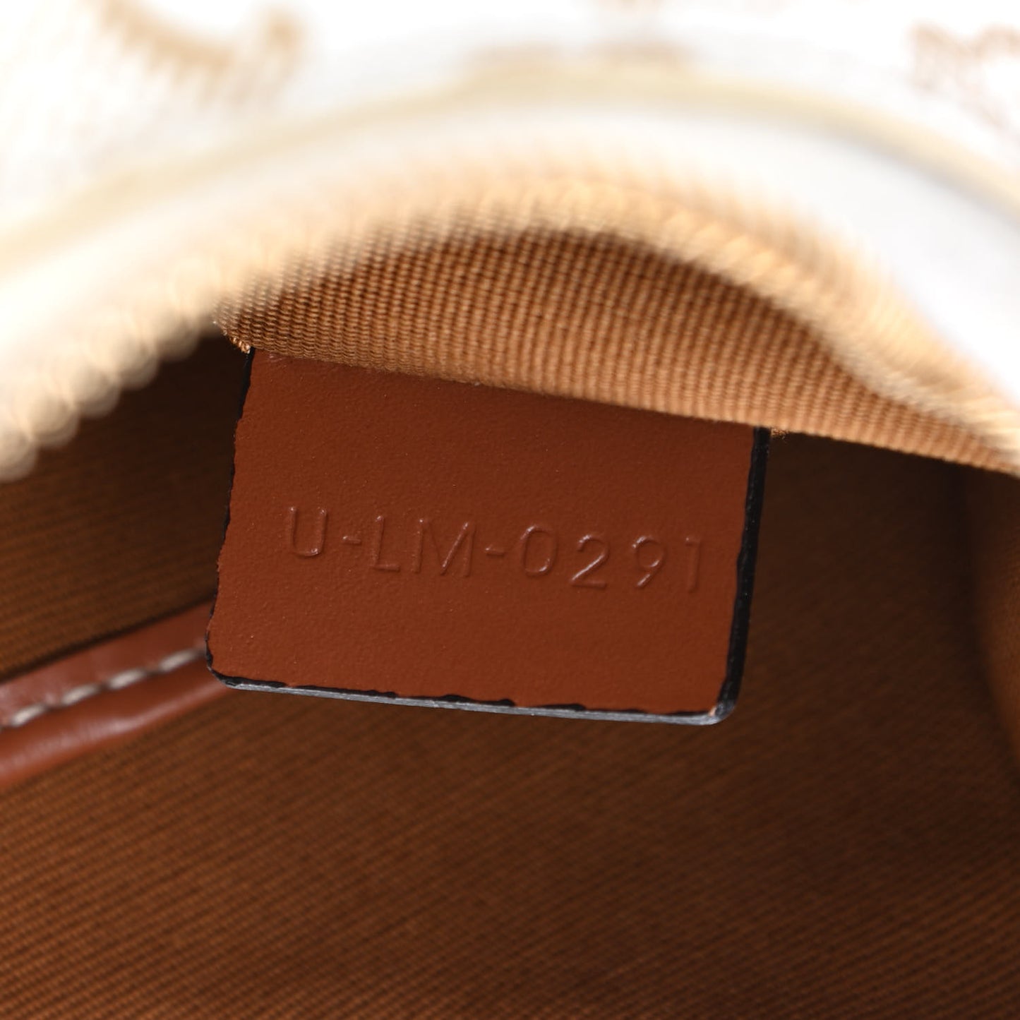 Canvas Calfskin Ava Triomphe Shoulder Bag White