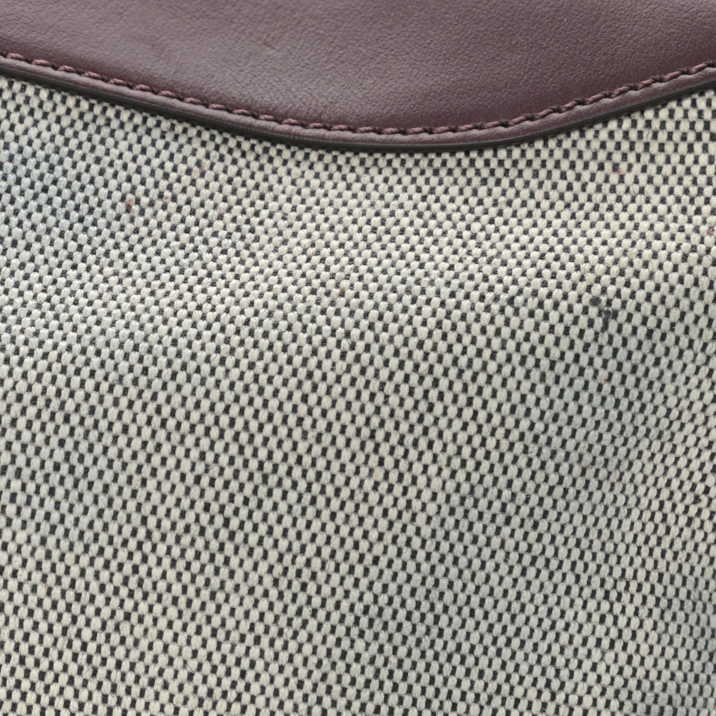 Canvas Logo Bond Belt Bag Aubergine