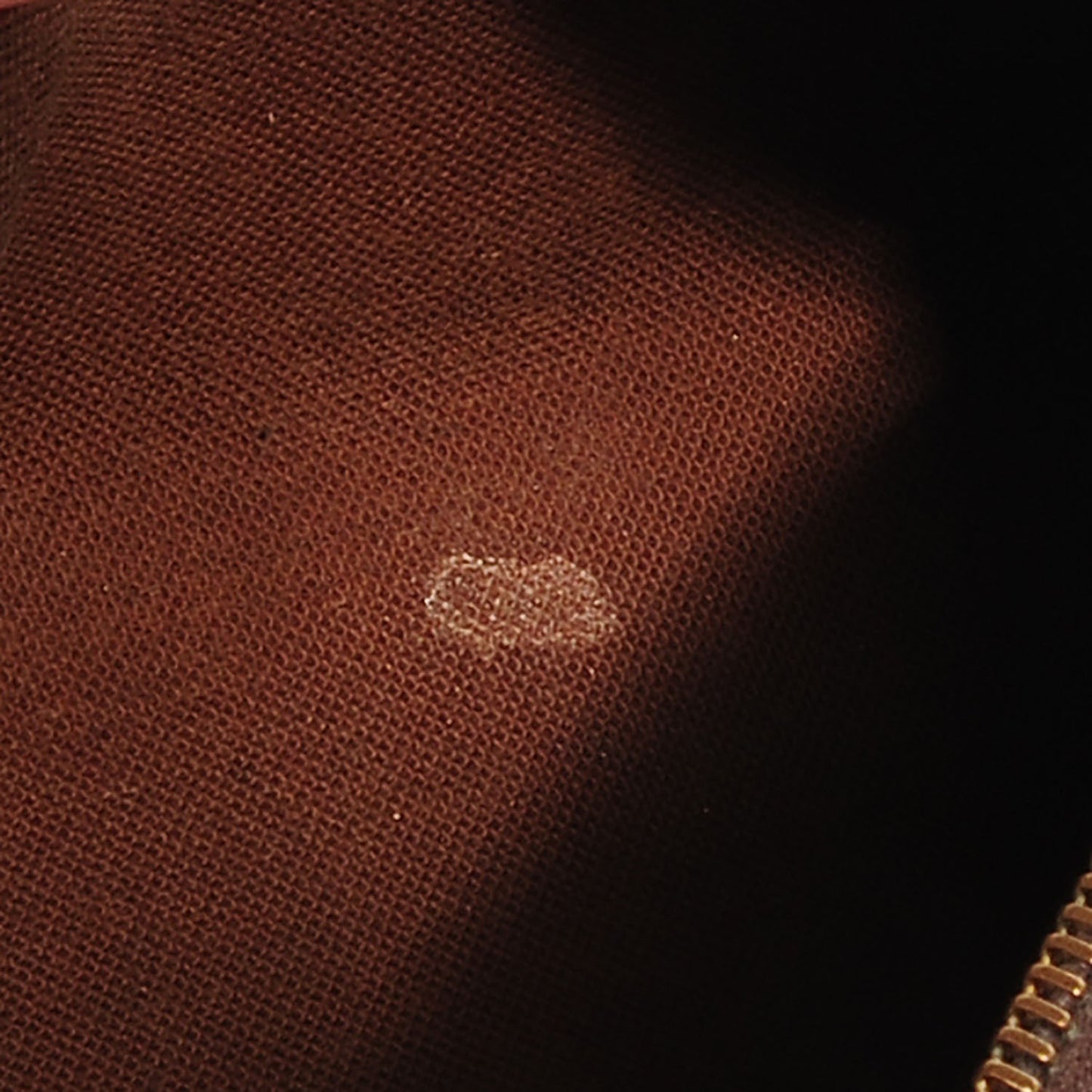 Monogram Mini Sac HL Speedy