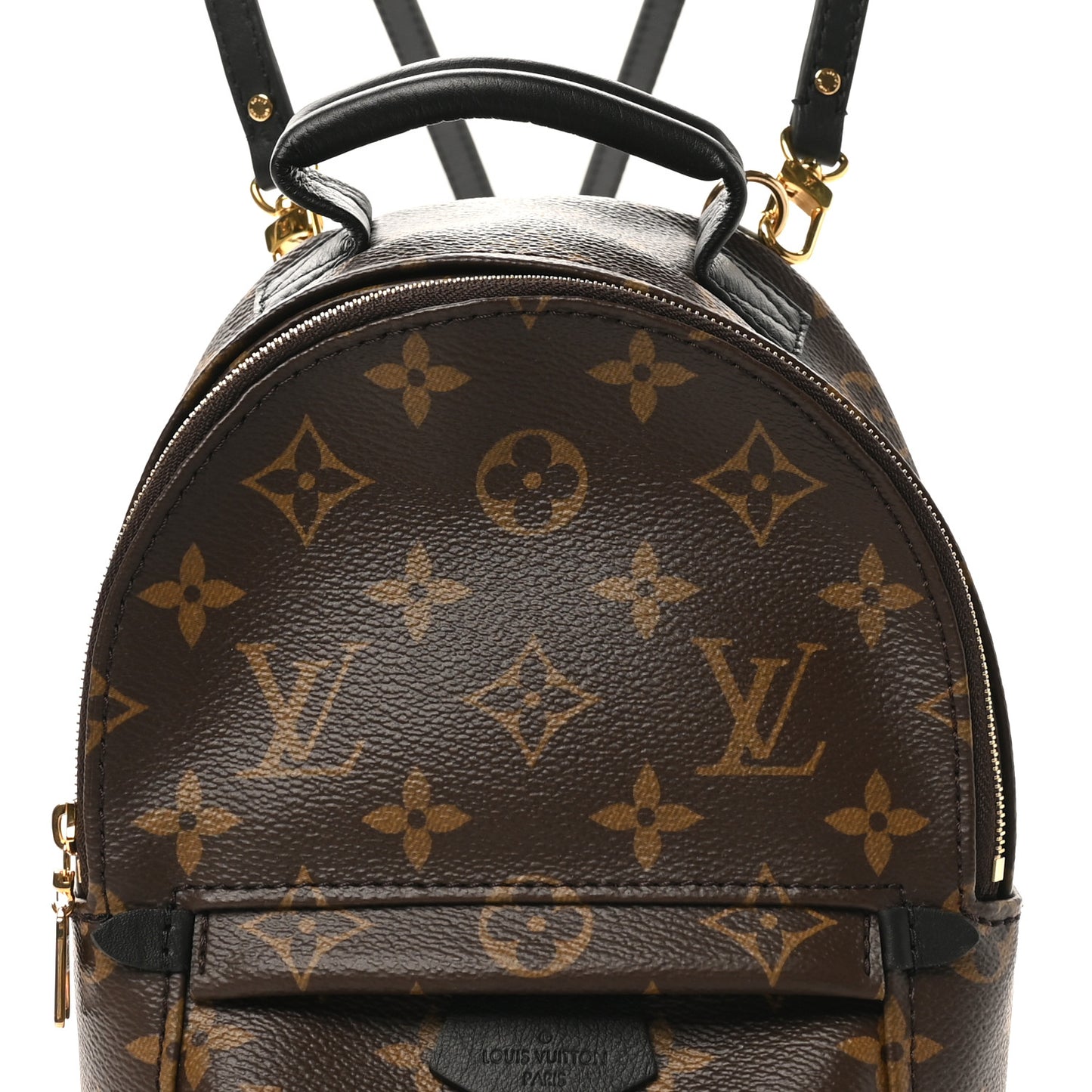 Monogram Palm Springs Backpack Mini