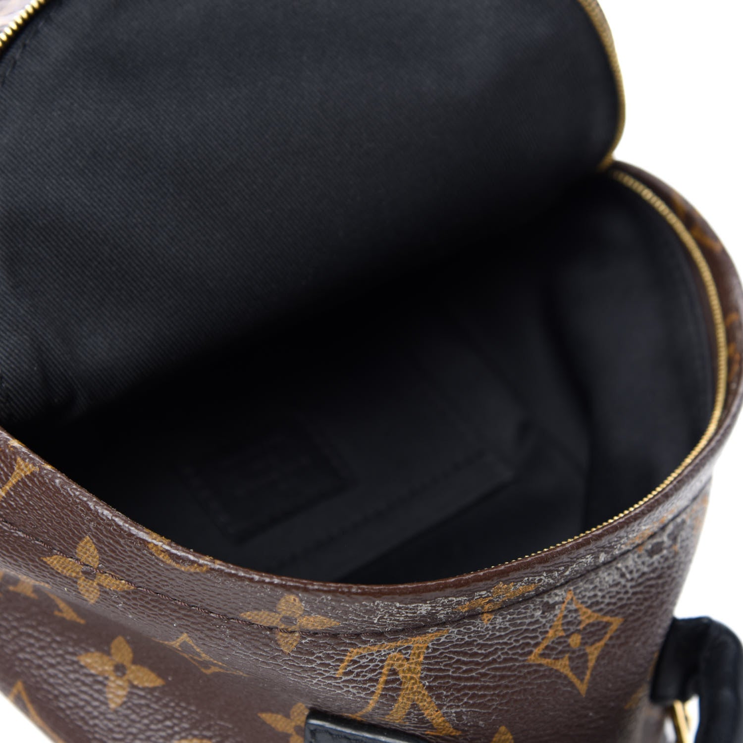 Louis Vuitton Monogram Palm Springs Backpack Mini 4 of 10