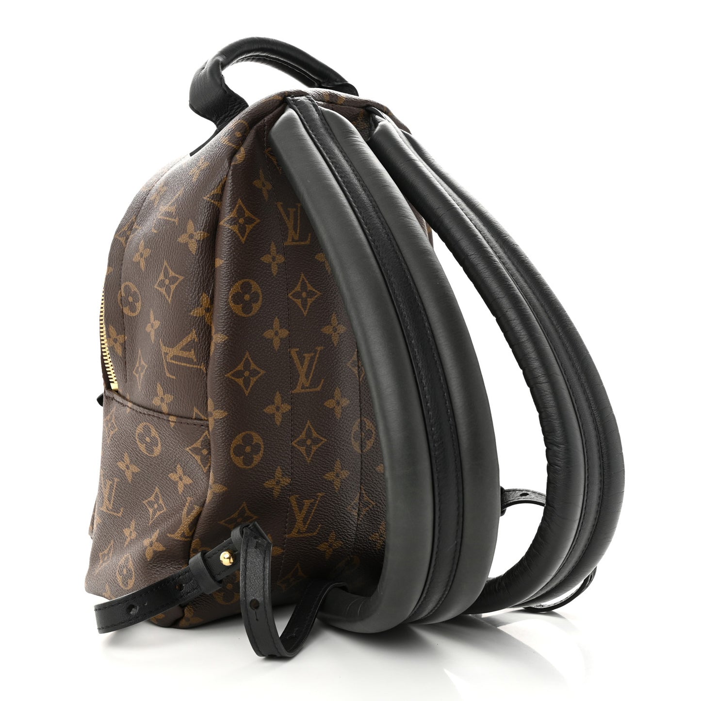 Monogram Palm Springs Backpack PM