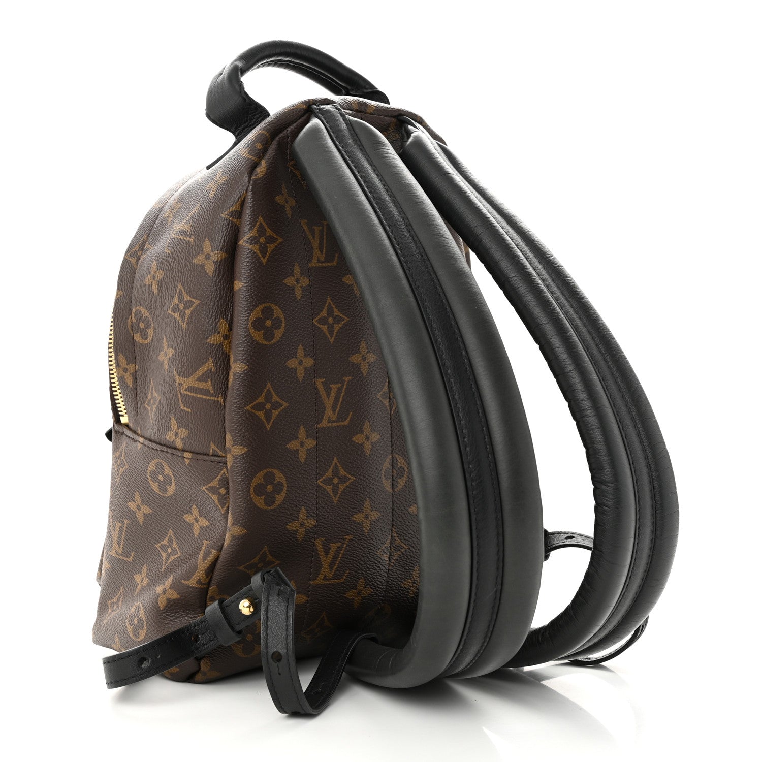 Louis Vuitton Monogram Palm Springs Backpack PM 3 of 10