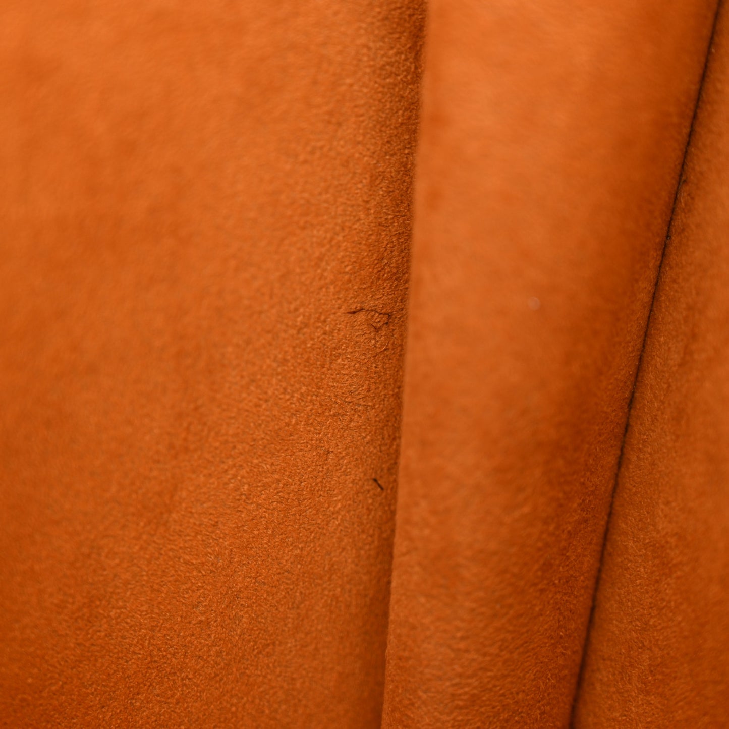 Epi Saint Jacques GM Kenyan Fawn