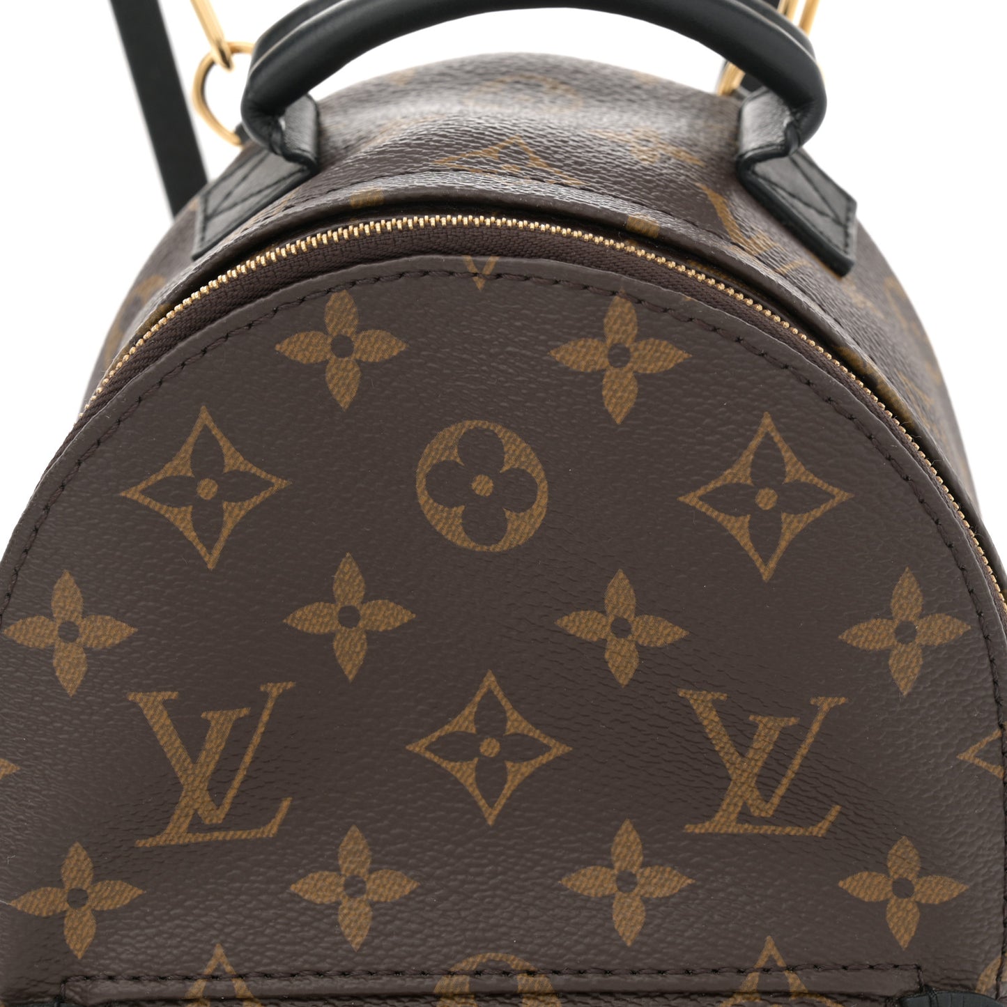 Monogram Palm Springs Backpack Mini