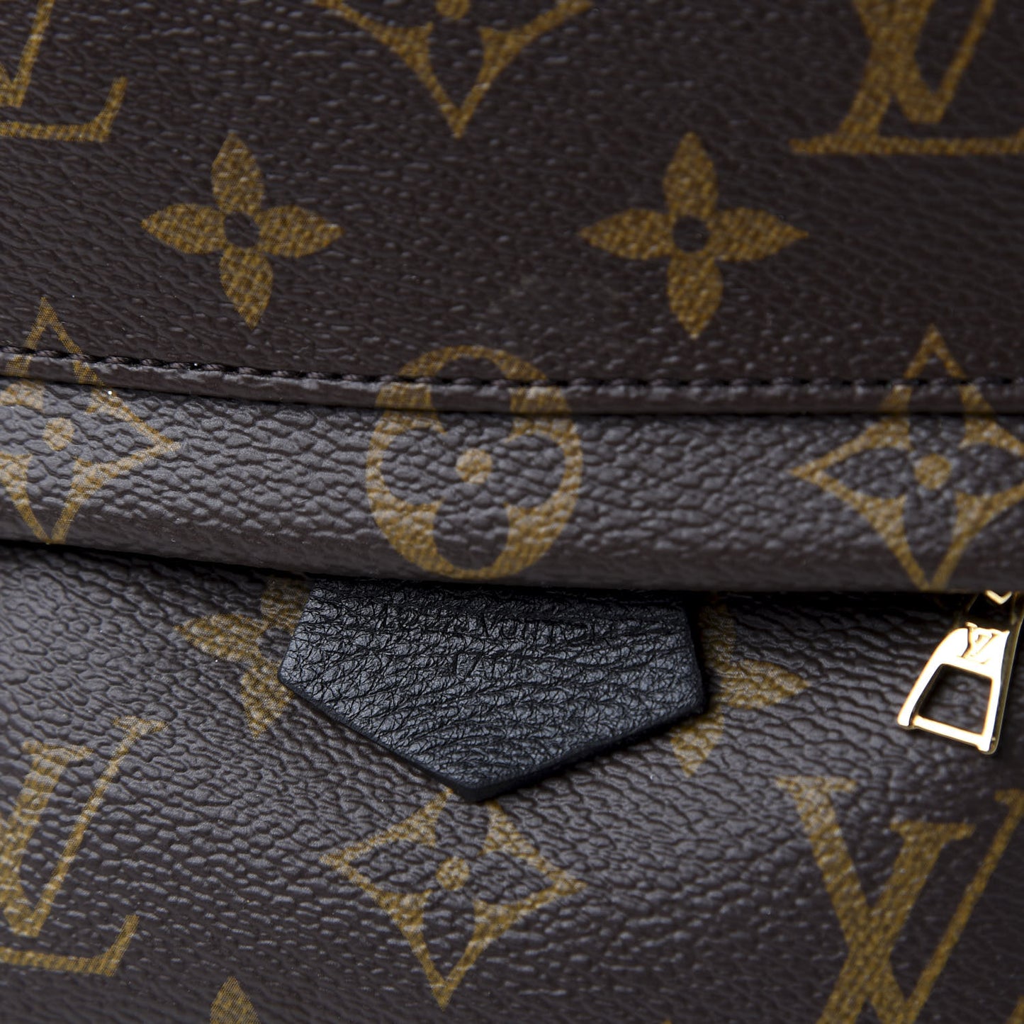 Monogram Palm Springs Backpack Mini