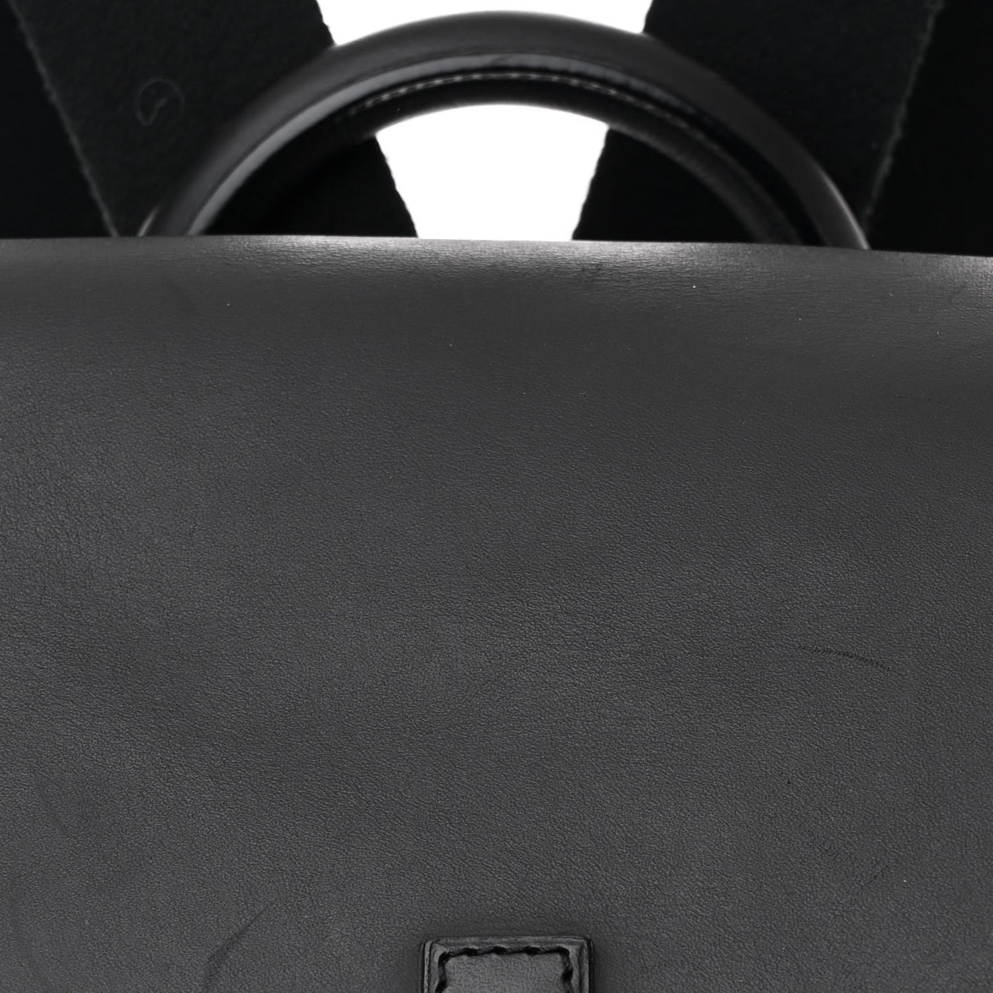 Goyardine Calfskin Alpin MM Backpack Black