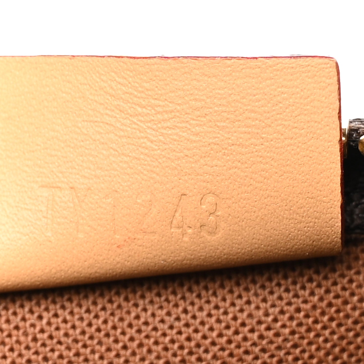Monogram Nano Speedy Bandouliere
