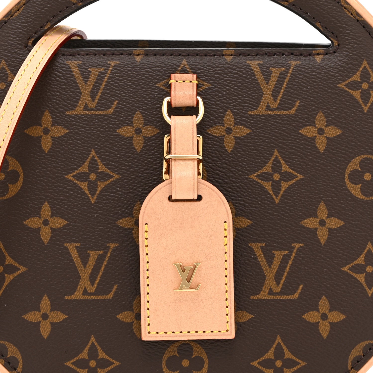 Louis Vuitton Reverse Monogram Around Me PM 7 of 9