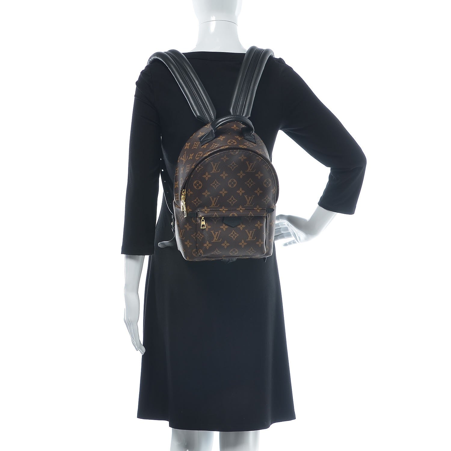 Louis Vuitton Monogram Palm Springs Backpack PM 2 of 7