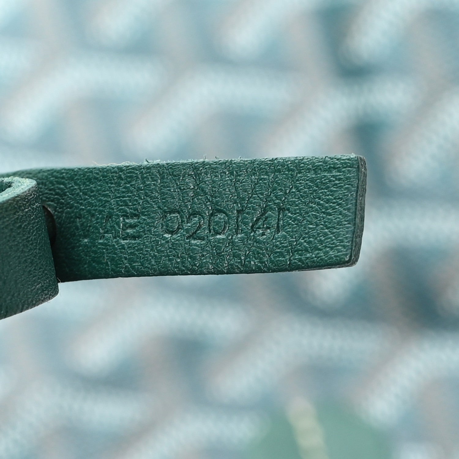 Goyard Goyardine Saint Louis PM Green 7 of 11