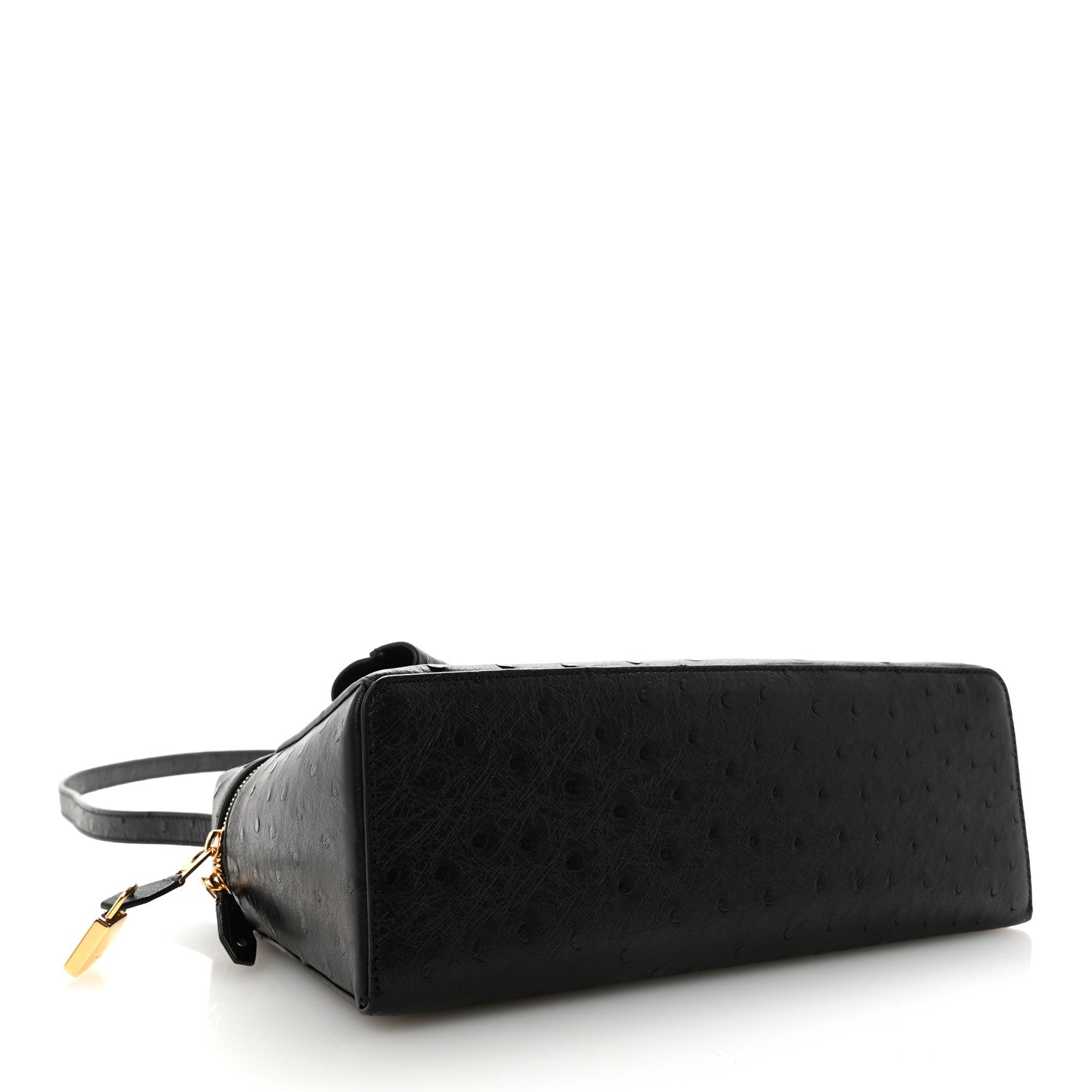 Loro Piana Ostrich Extra Bag L27 Black 4 of 9