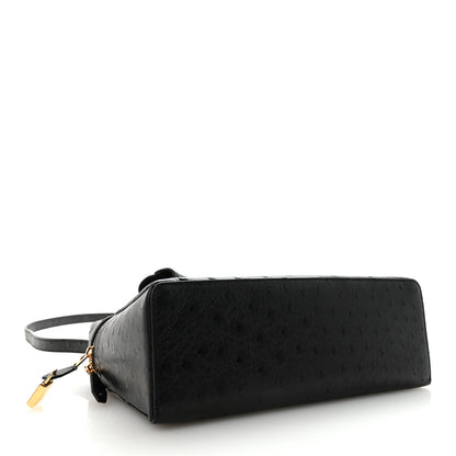 Loro Piana Ostrich Extra Bag L27 Black 4 of 9