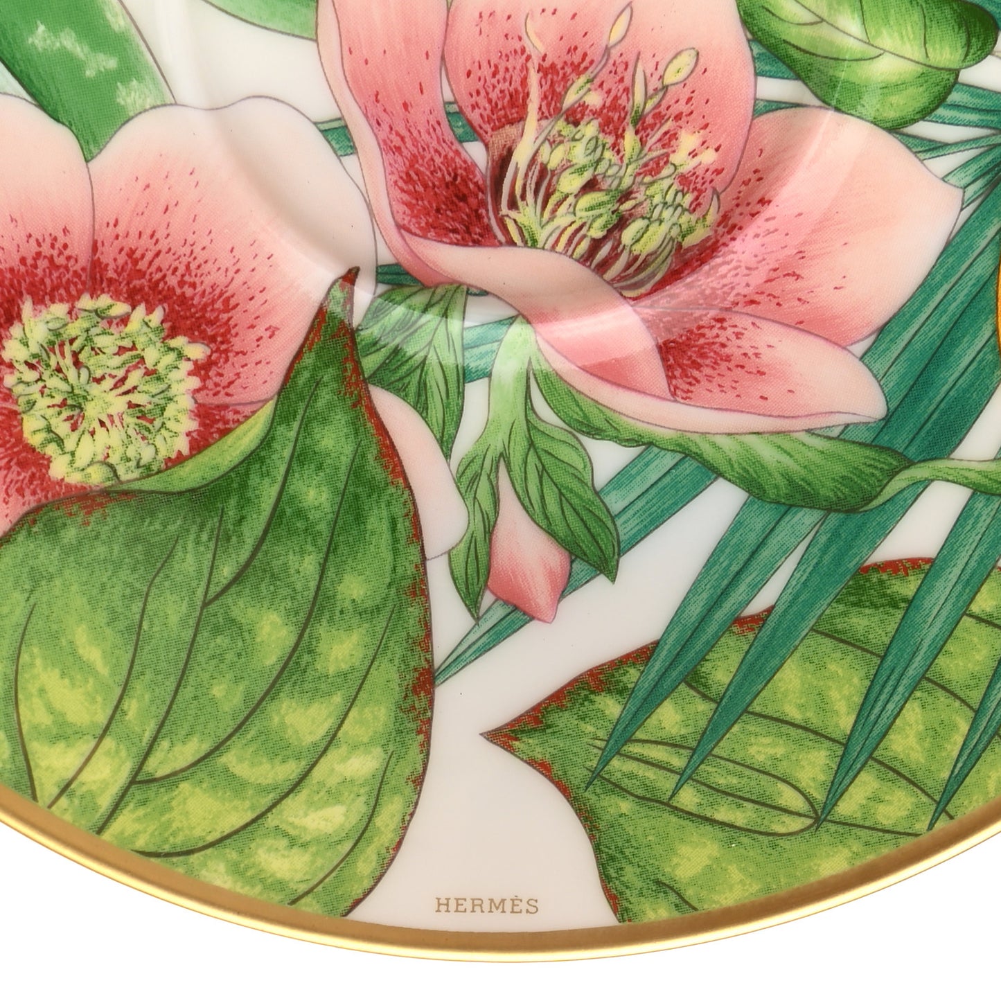 Porcelain Passifolia Tea Cup And Saucer Set Of 2