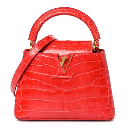 Louis Vuitton Crocodile Mini Capucines Rubis 1 of 8