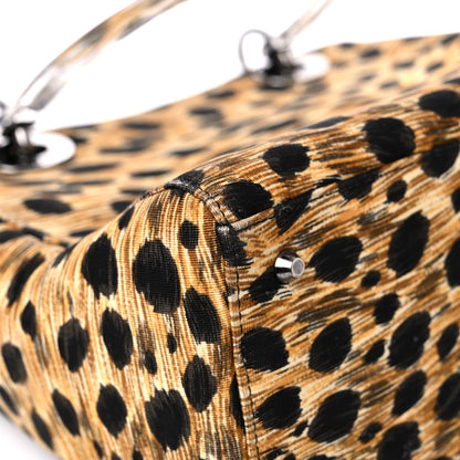 Christian Dior Canvas Leopard Print Medium Lady Dior 10 of 11