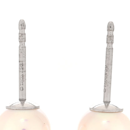 Tiffany 18K White Gold Cultured Pearl 6.5-7mm Stud Earrings 4 of 4