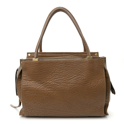 Chloe Pebbled Calfskin Dree Shoulder Bag Nut 1 of 12