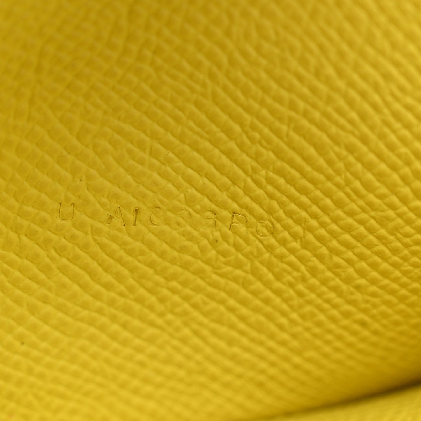 Epsom Mini Bearn Wallet Lime
