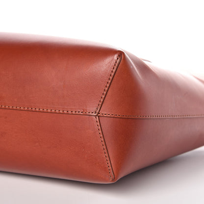 Mansur Gavriel Vegetable Tanned Calfskin Small Shopping Bag Brandy Avion 13 of 14