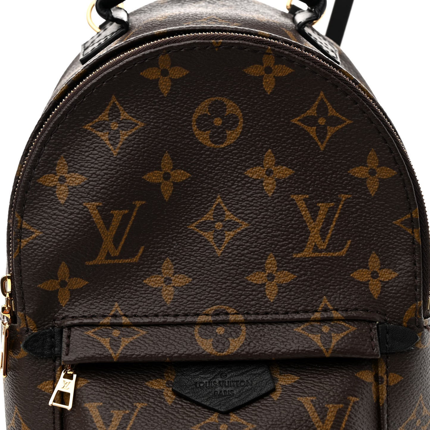Monogram Palm Springs Backpack Mini
