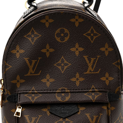 Louis Vuitton Monogram Palm Springs Backpack Mini 7 of 10