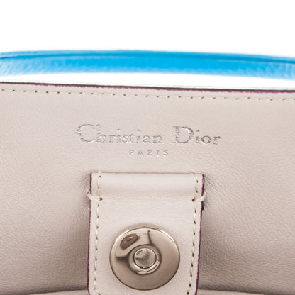 Christian Dior Bullcalf Medium Diorissimo Tote Bleu Nosy 6 of 9