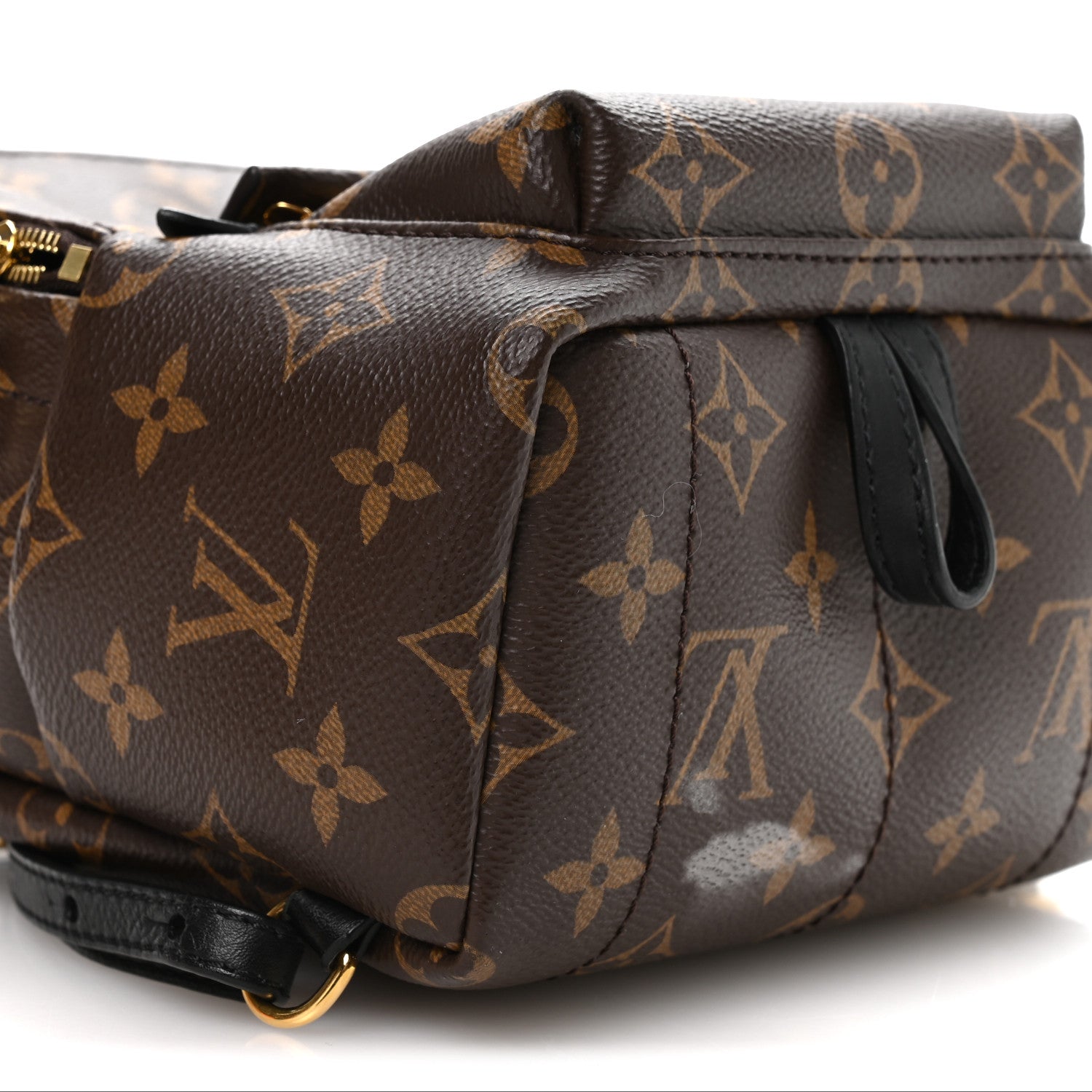 Louis Vuitton Monogram Palm Springs Backpack Mini 1835396