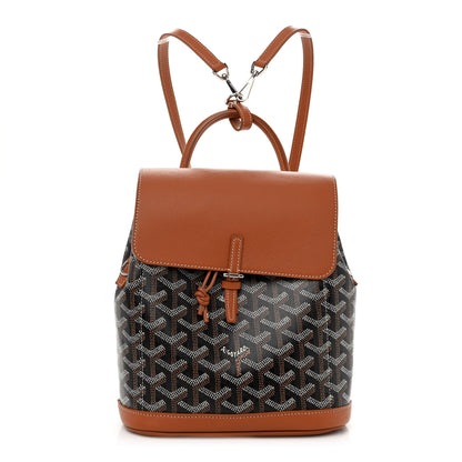 Goyard Goyardine Calfskin Mini Alpin Backpack Black Gold 1 of 11