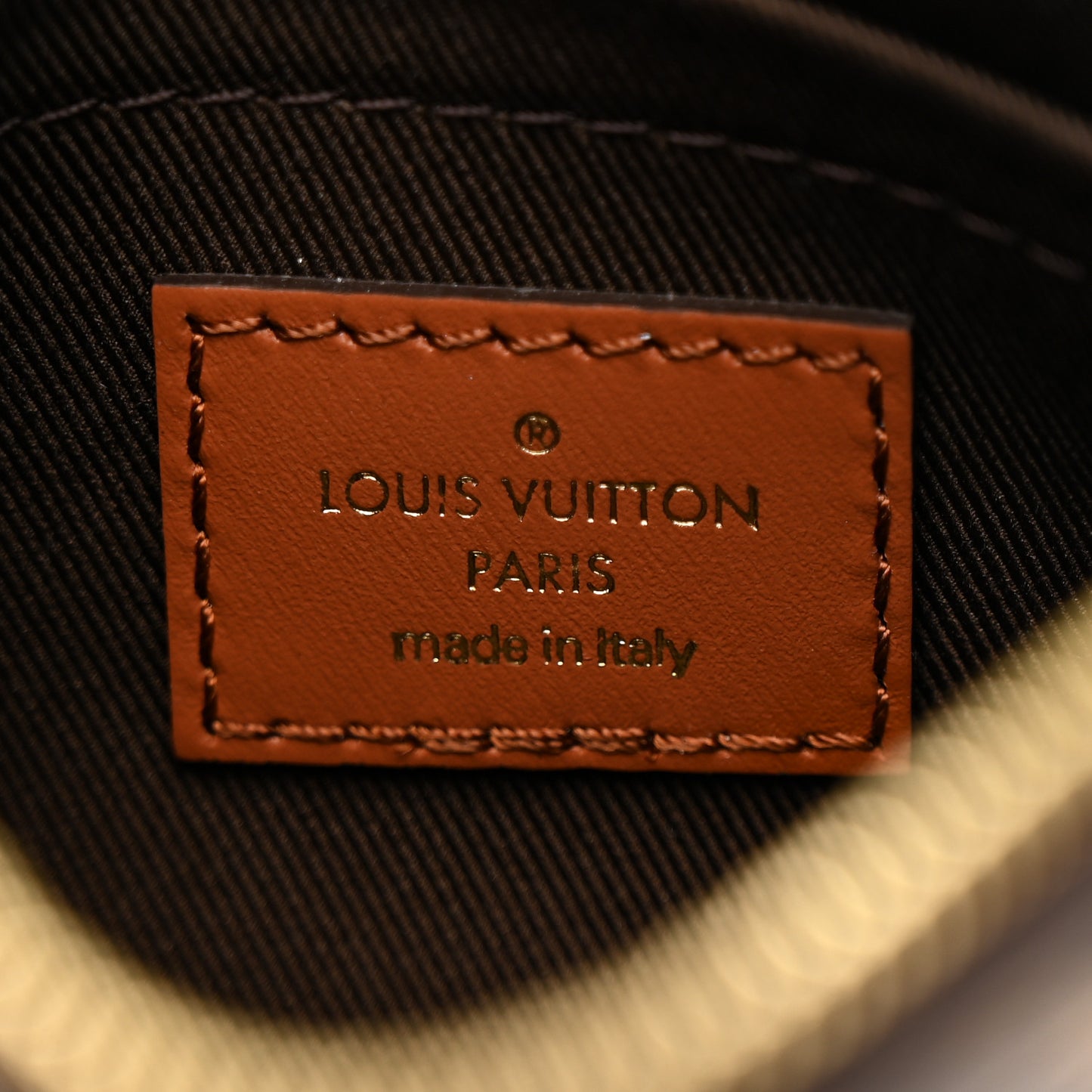 Monogram Loop Hobo Pochette