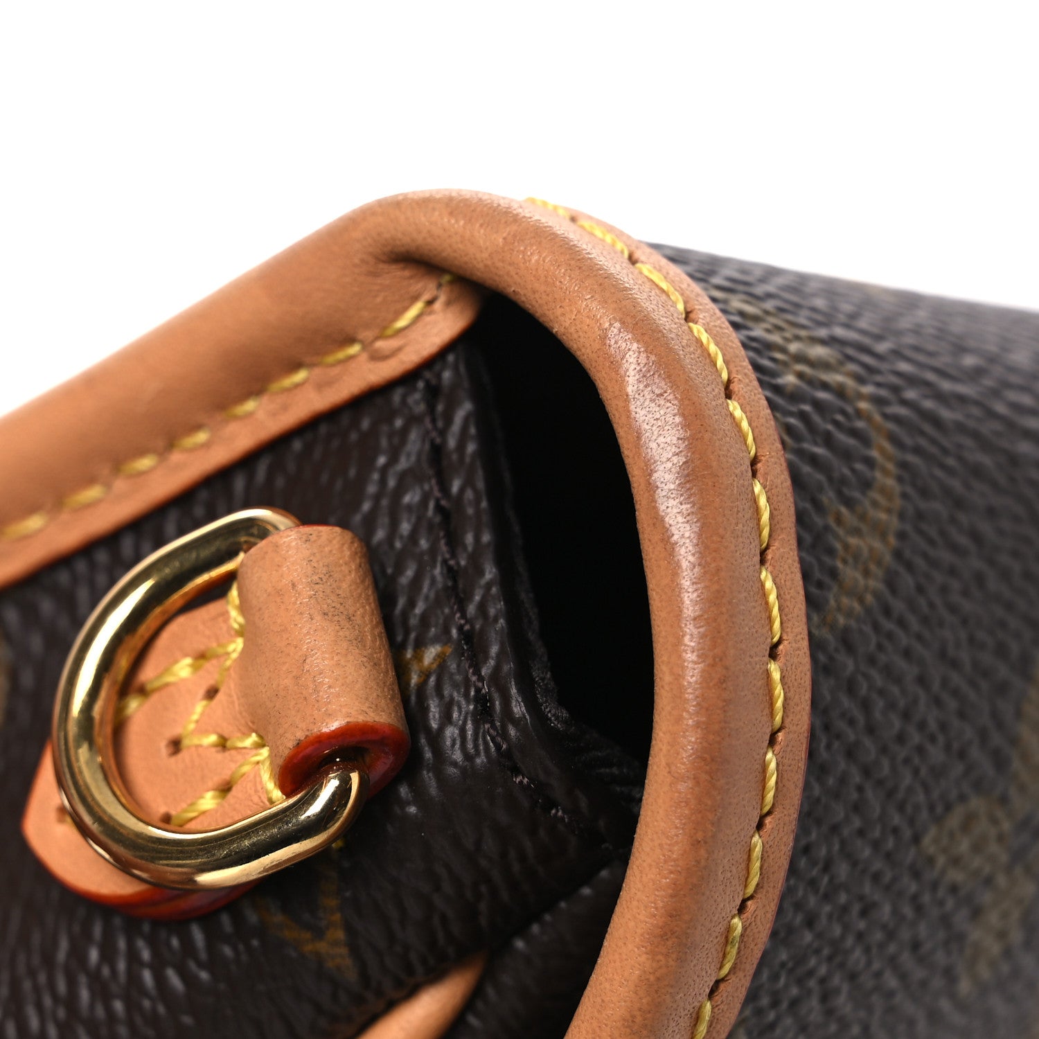 Louis Vuitton Monogram Nano Diane 10 of 10