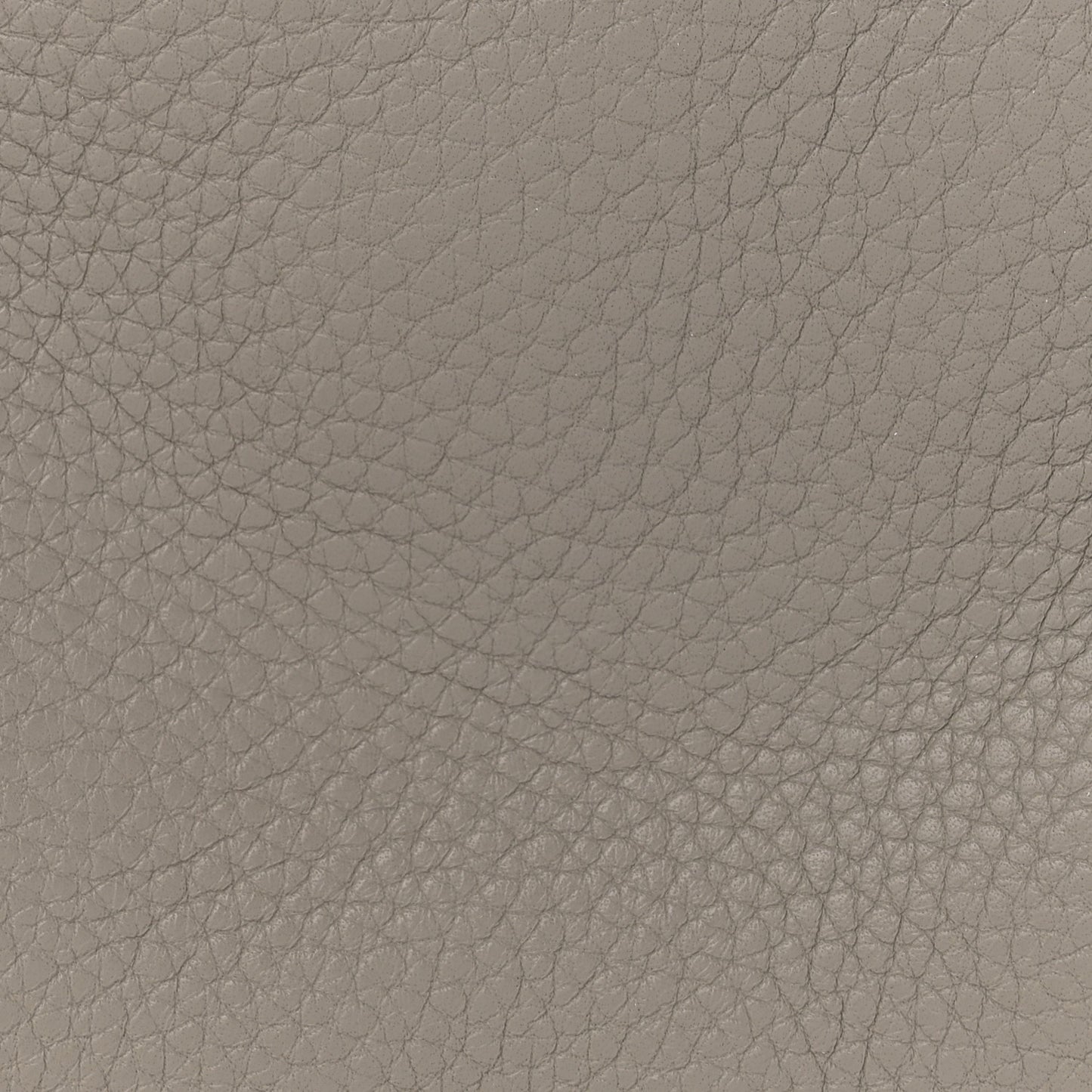 Pebbled Calfskin Rockie Mink Silver Hardware