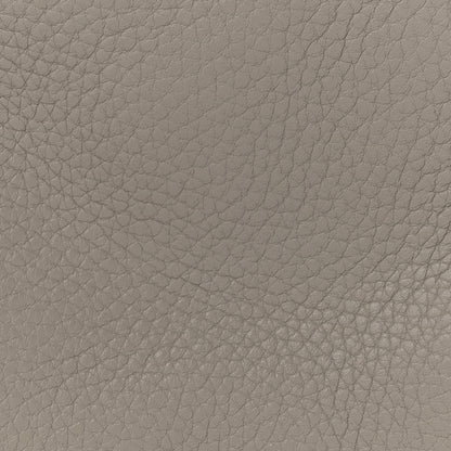 Alexander Wang Pebbled Calfskin Rockie Mink Silver Hardware 7 of 12