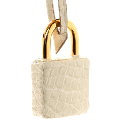 Hermes Matte Alligator Birkin 25 Beton 21 of 22