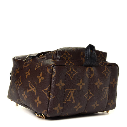 Louis Vuitton Monogram Palm Springs Backpack Mini 6 of 8