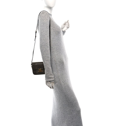 Celine Watersnake Teen Triomphe Grey 2 of 12