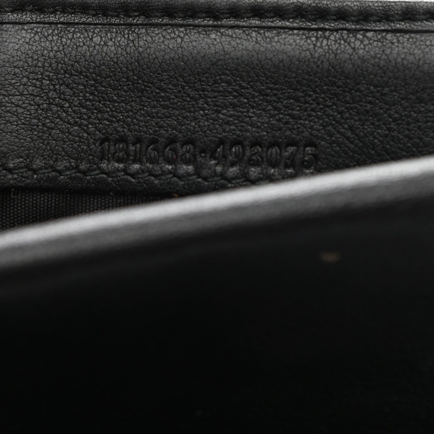 Guccissima Ladies Web Long Wallet Black
