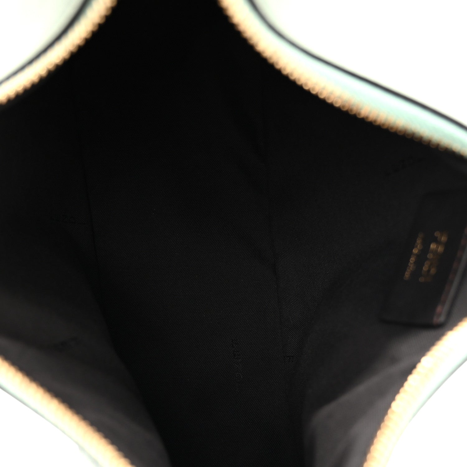Fendi Vitello Grace Matte Small Fendigraphy Hobo Bag Menta 5 of 10