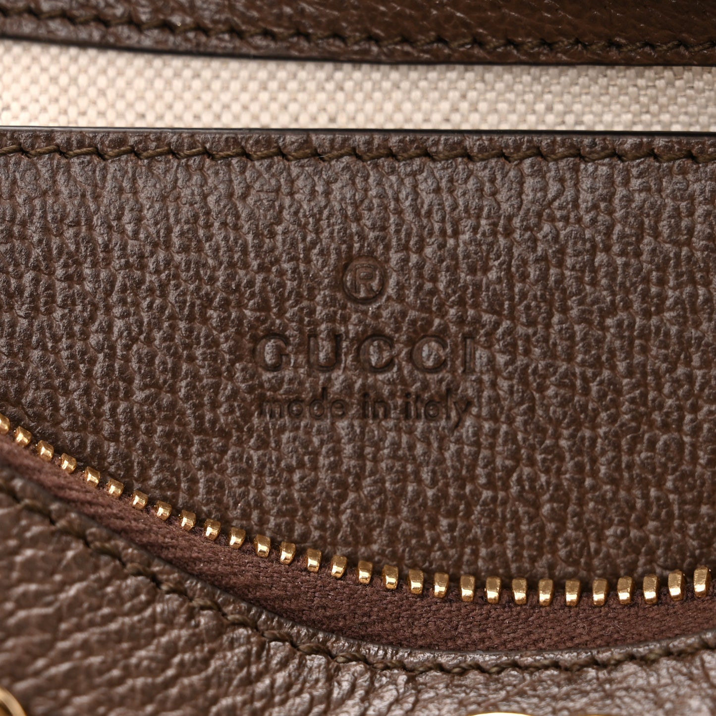 GG Supreme Monogram Textured Dollar Calfskin Web Small Ophidia GG Handbag Beige Ebony New Acero